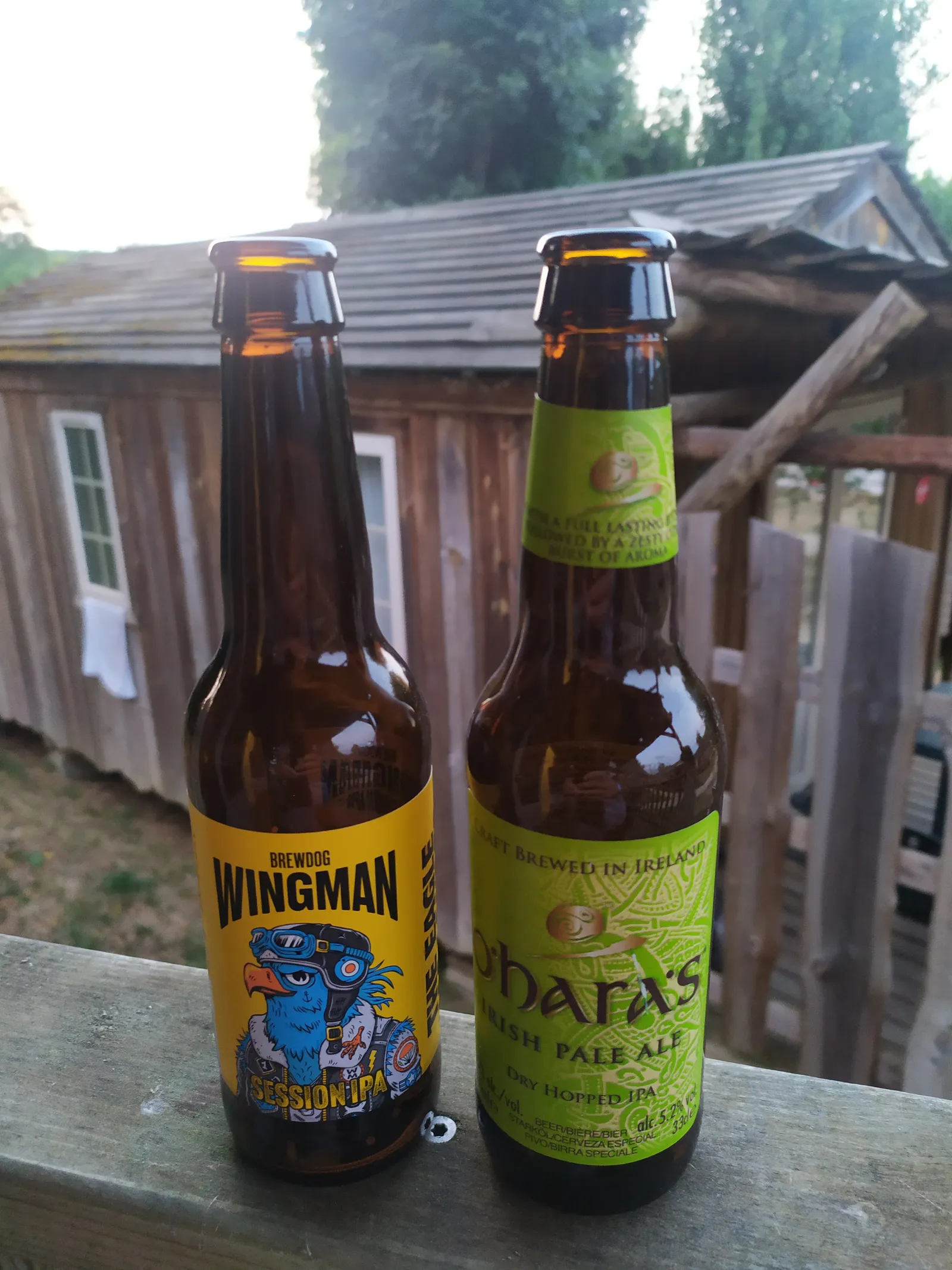 O'hara's Irish Pale Ale, tastada a Sarlat-la-Canéda