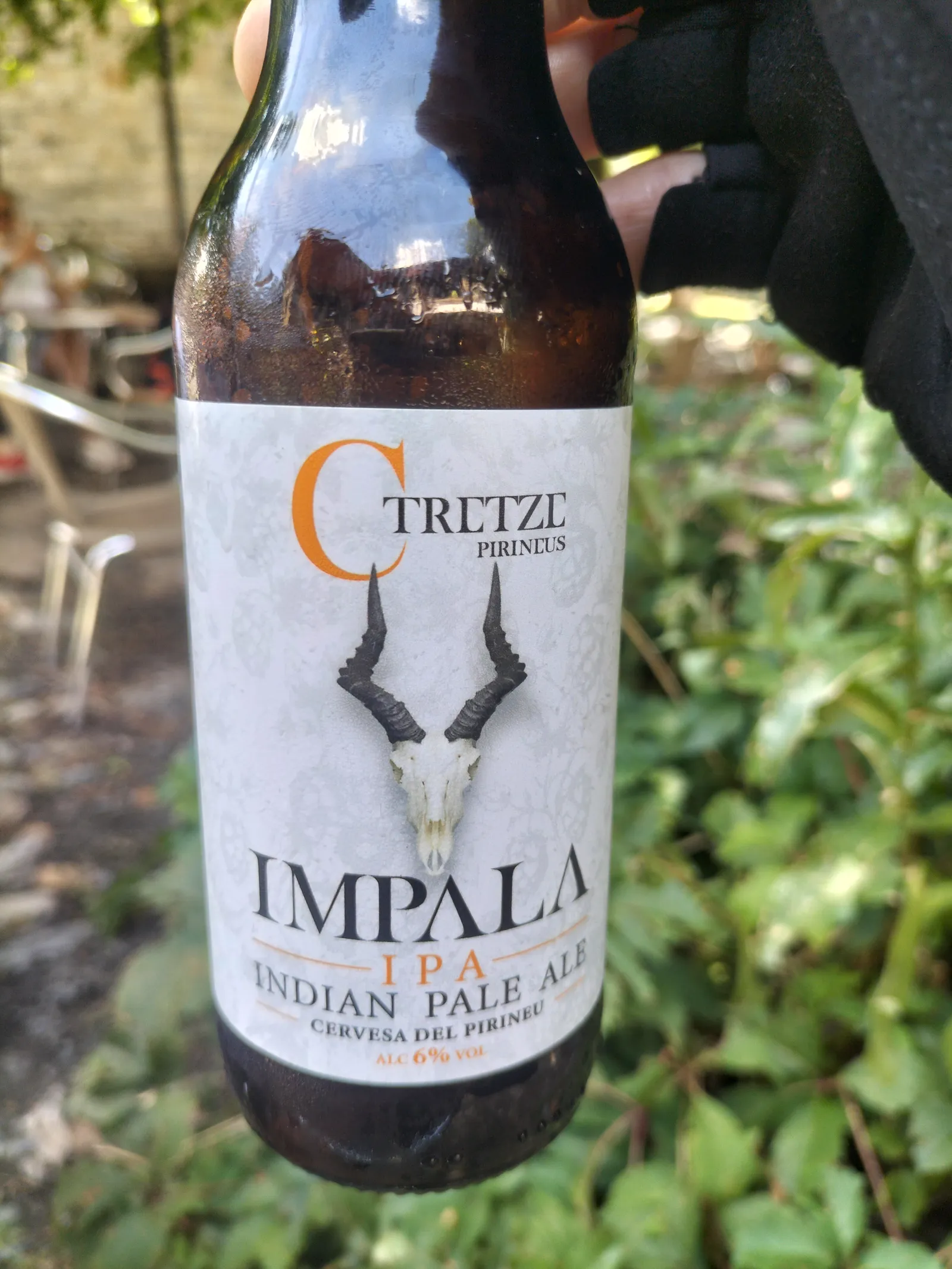 Impala Tretze Pirineus, tastada a Rectoria · Taüll