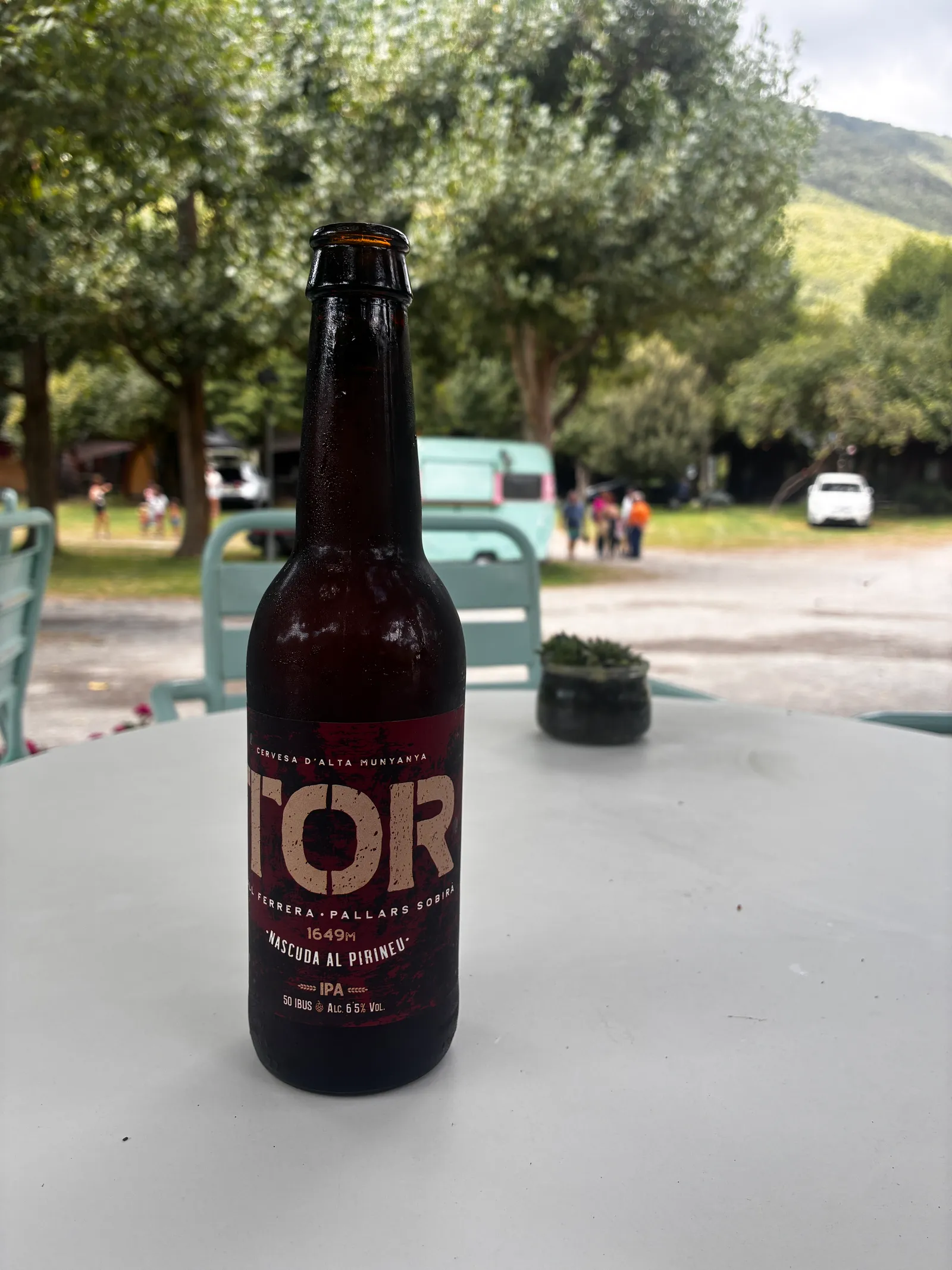 Tor, tastada a Camping del Cardós · Ribera de Cardós