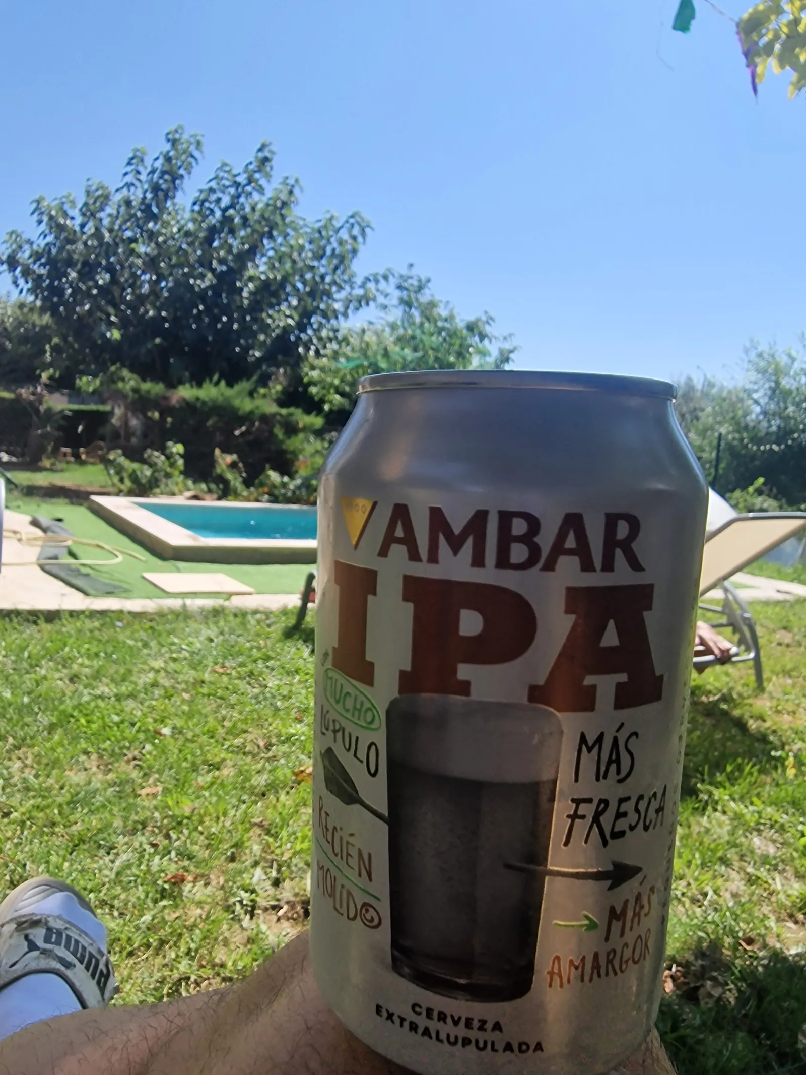 Ámbar ipa, tastada a Casa de fusta · Avià